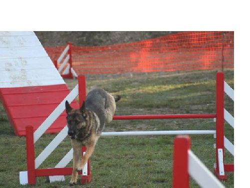 Agility